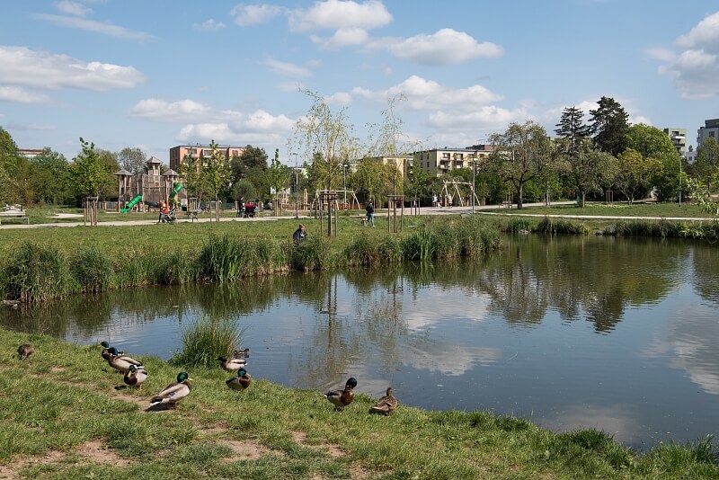 Svatošových, Vysočany - Prague 9 | Rent, Apartment One-bedroom (2+kk), 63 m²