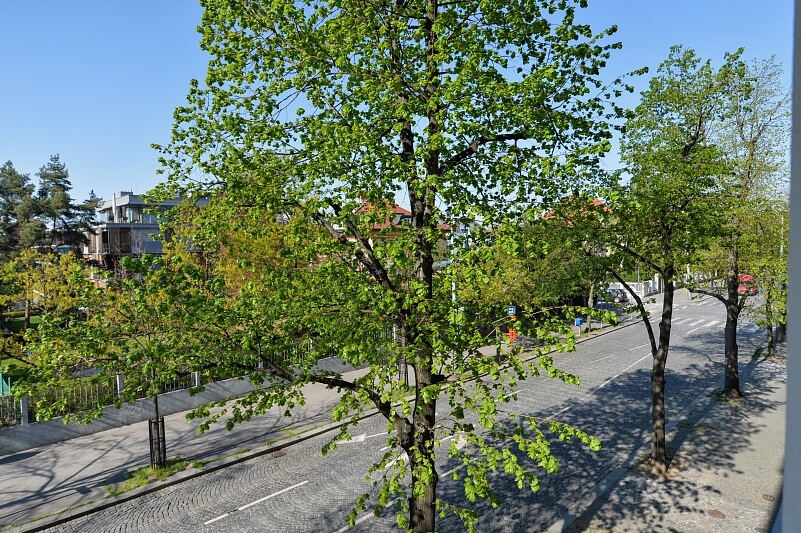 Rooseveltova, Bubeneč - Prague 6 | Rent, Apartment One-bedroom (2+kk), 51 m²