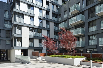 Olšanská, Žižkov - Praha 3 | Pronájem, Byt 2+kk, 60 m²