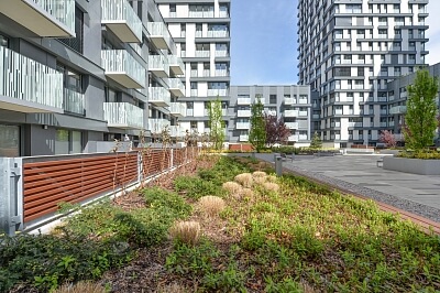 Olšanská, Žižkov - Prague 3 | Rent, Apartment One-bedroom (2+kk), 60 m²