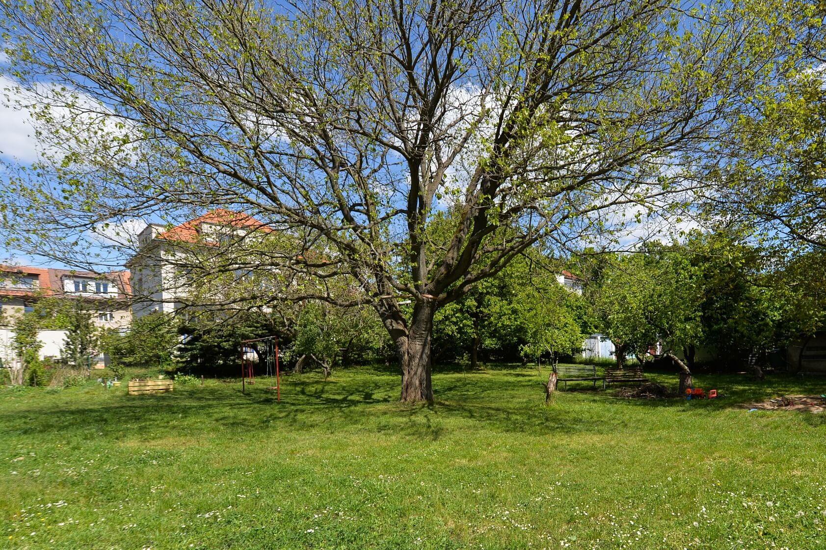 U Beránky, Dejvice - Praha 6 | Pronájem, Byt 2+1, 60 m²