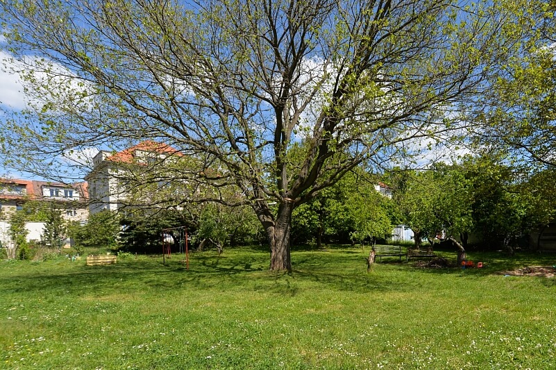 U Beránky, Dejvice - Prague 6 | Rent, Apartment One-bedroom (2+1), 60 m²