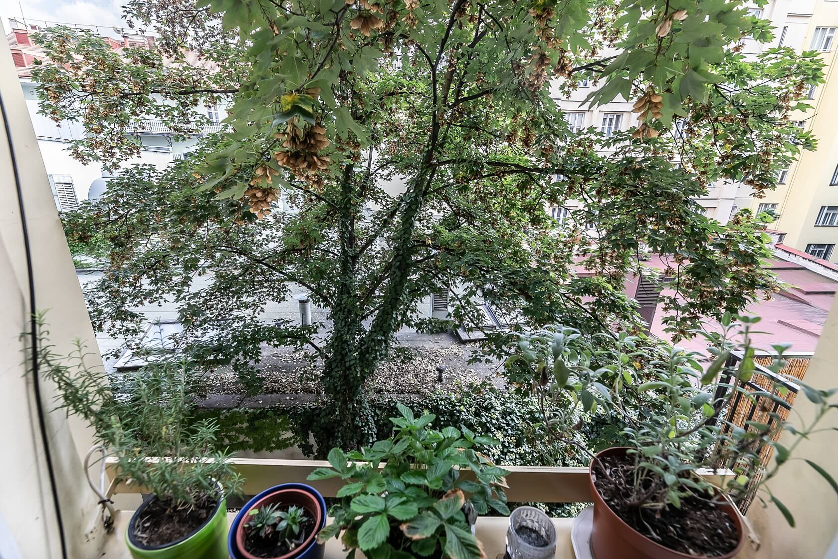 Kroftova, Smíchov - Prague 5 | Sale, Apartment One-bedroom (2+1), 69 m²