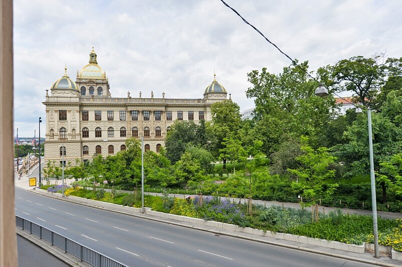 Mezibranská, Nové Město - Praha 1 | Pronájem, Byt 2+kk, 50 m²