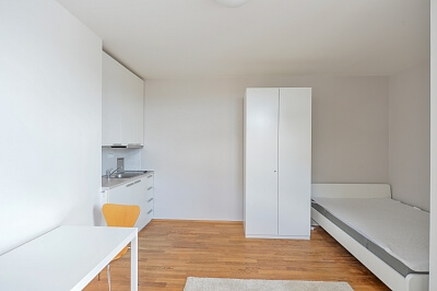 Rybalkova, Vršovice - Praha 10 | Pronájem, Byt 1+kk, 28 m²