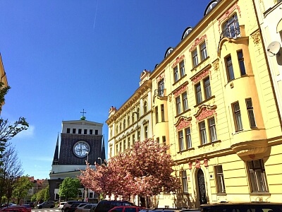 Přemyslovská, Vinohrady - Praha 3 | Pronájem, Byt 1+kk, 58 m²