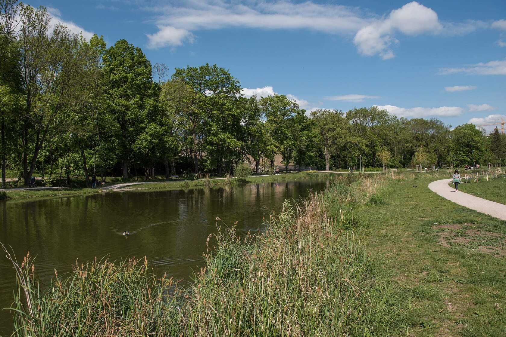 Svatošových, Vysočany - Prague 9 | Rent, Apartment Two-bedroom (3+kk), 92 m²