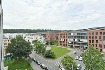 Molákova, Karlín - Praha 8 | Pronájem, Byt 2+1, 42 m²