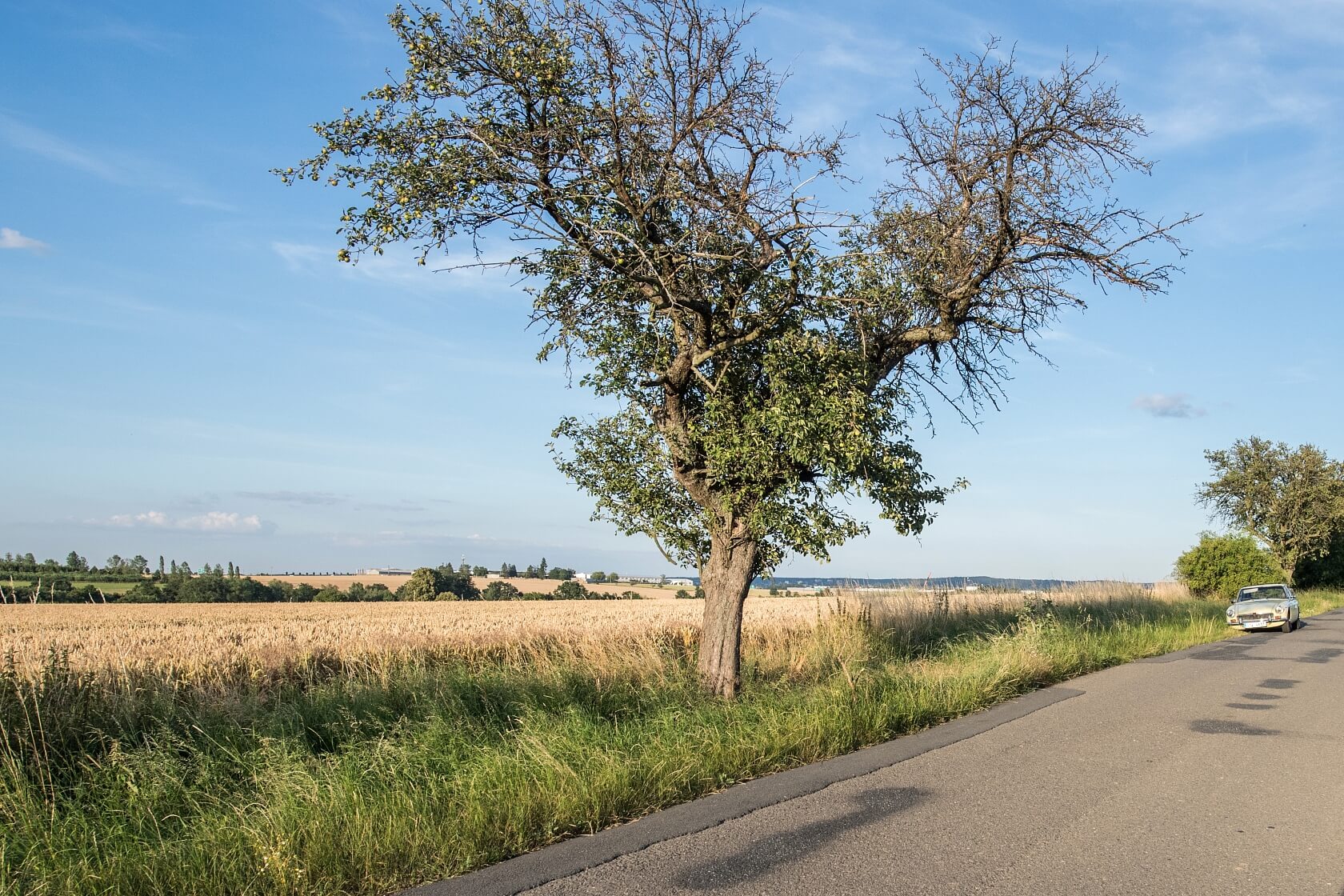 Dobřejovice - Praha-východ | Prodej, Pozemek, 6 512 m²