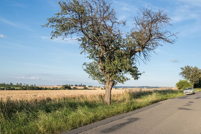 Dobřejovice - Praha-východ | Sale, Land, 6 512 m²