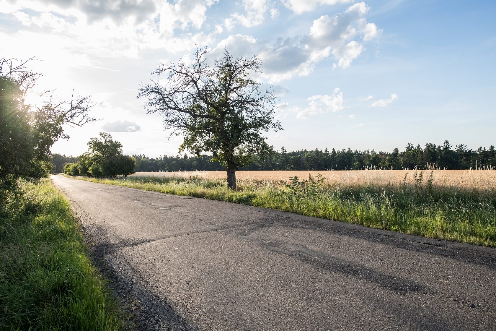 Dobřejovice - Praha-východ | Prodej, Pozemek, 6 512 m²