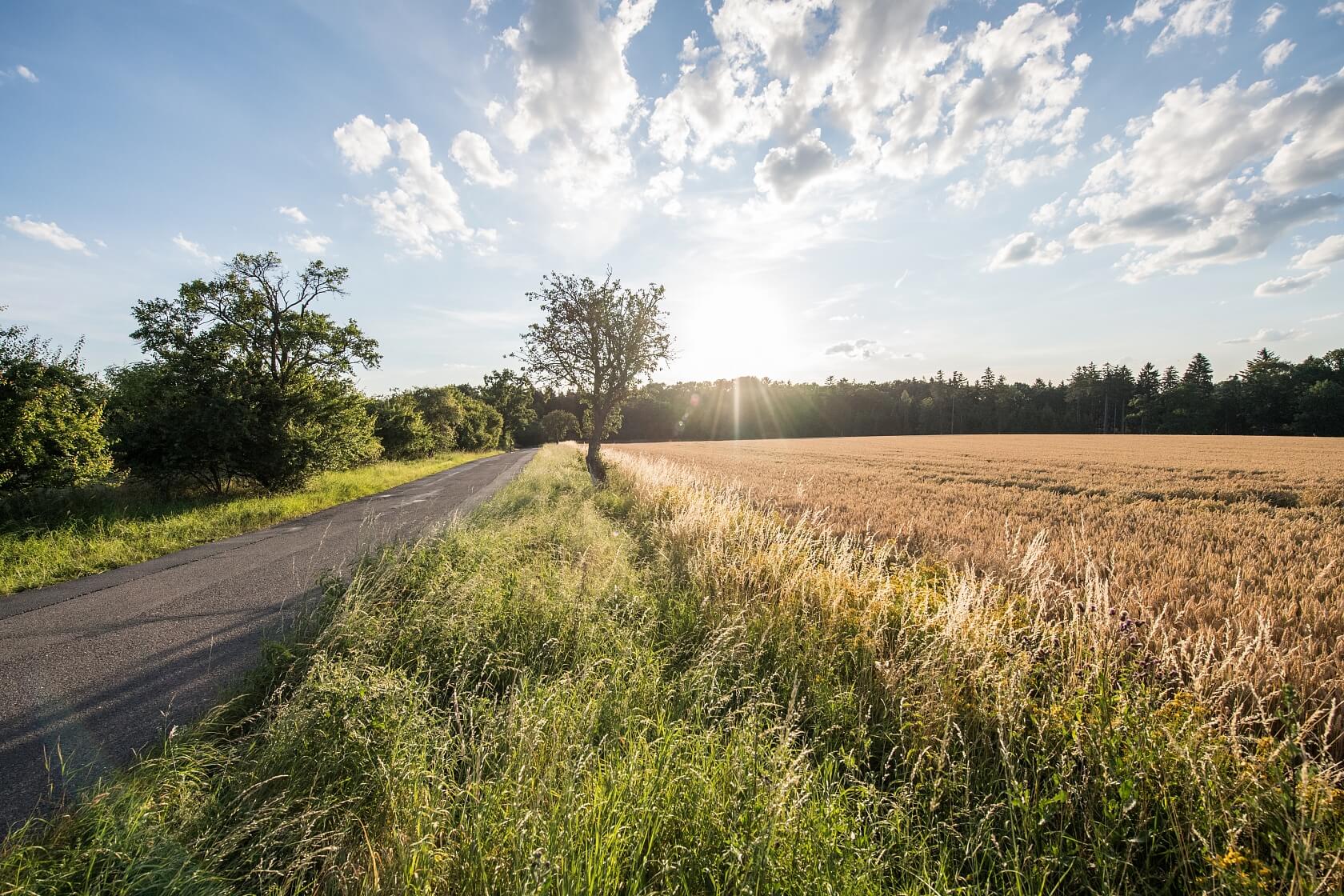 Dobřejovice - Praha-východ | Sale, Land, 6 512 m²