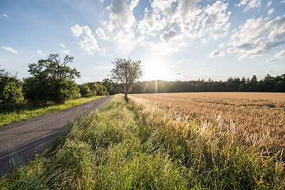 Dobřejovice - Praha-východ | Prodej, Pozemek, 6 512 m²