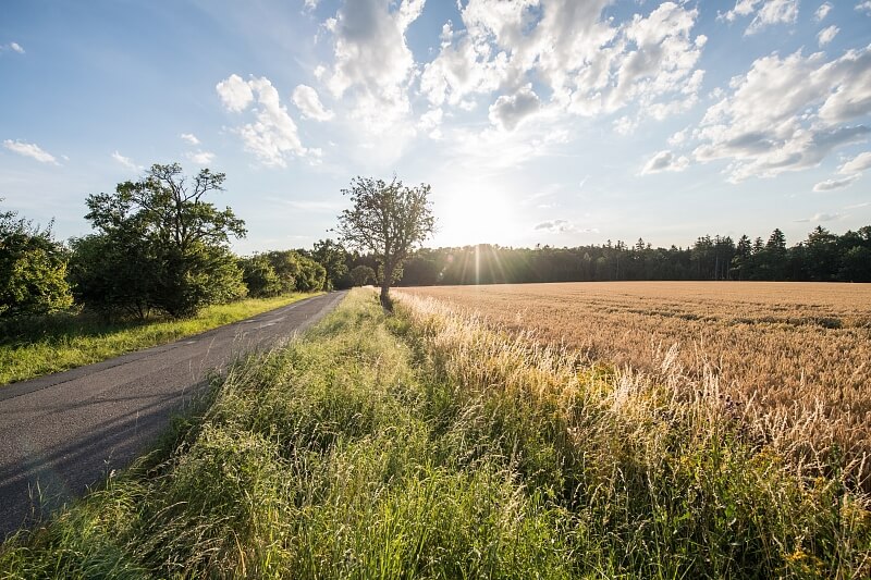 Dobřejovice - Praha-východ | Sale, Land, 6 512 m²