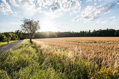 Dobřejovice - Praha-východ | Sale, Land, 6 512 m²