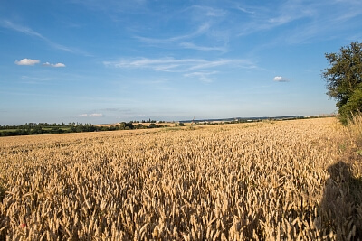 Dobřejovice - Praha-východ | Prodej, Pozemek, 6 512 m²