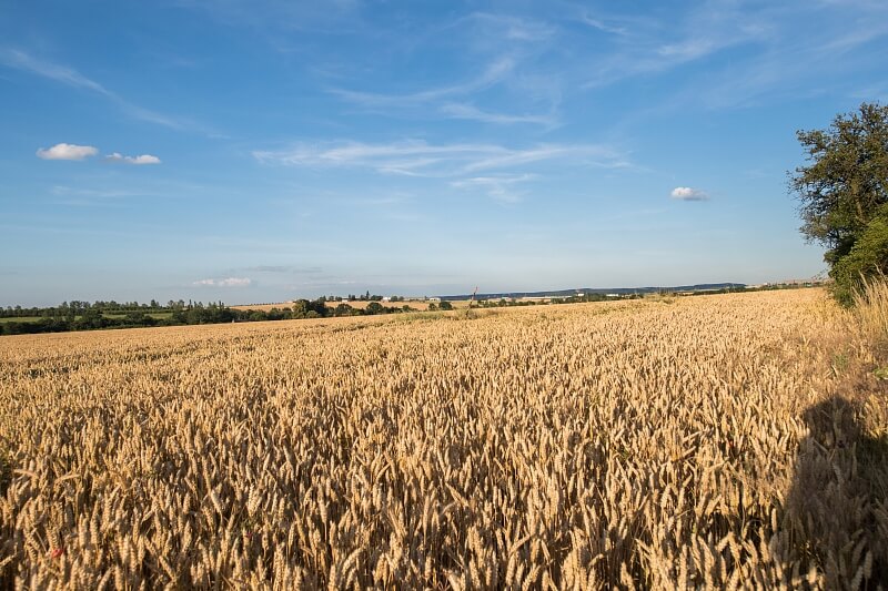 Dobřejovice - Praha-východ | Prodej, Pozemek, 6 512 m²