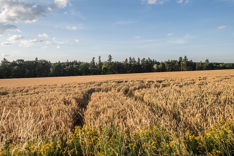 Dobřejovice - Praha-východ | Prodej, Pozemek, 6 512 m²