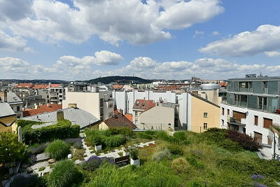 Vodičkova, Nové Město - Praha 1 | Pronájem, Byt 2+kk, 64 m²