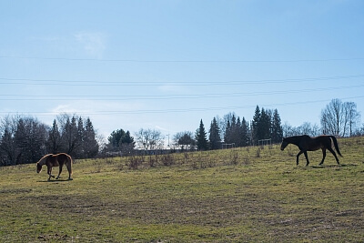 Tupolevova, Čakovice - Prague 9 | Sale, House Three-bedroom (4+kk), 137 m²
