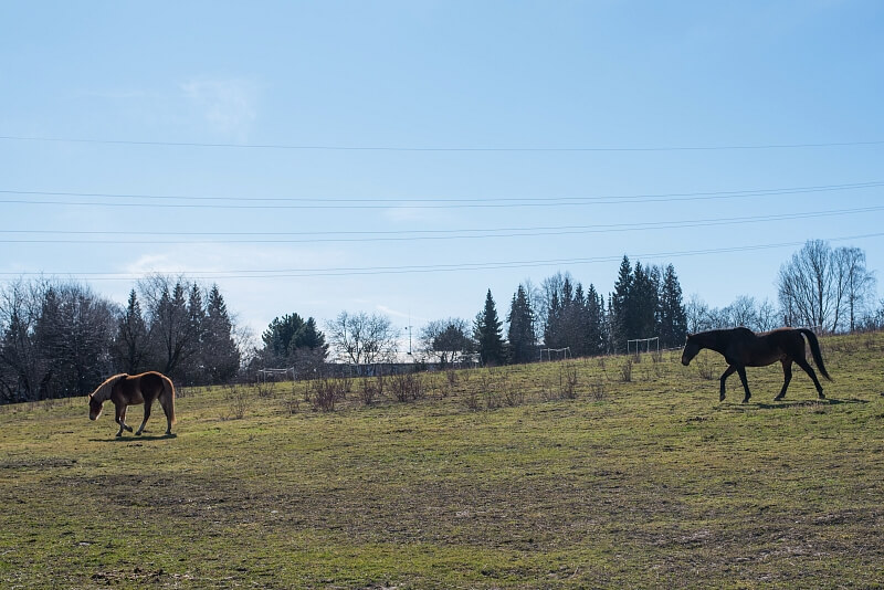 Tupolevova, Čakovice - Praha 9 | Prodej, Rodinný dům 4+kk, 137 m²