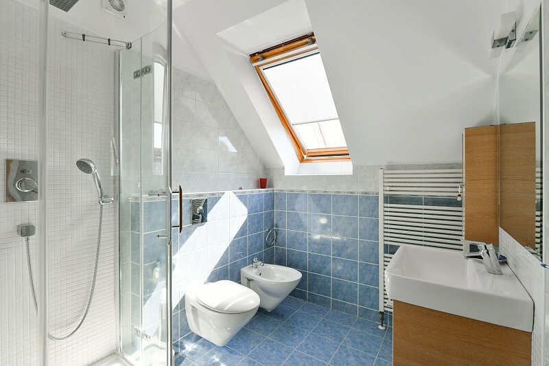 Plavínova, Žižkov - Prague 3 | Rent, House Four-bedroom (5+kk), 272 m²