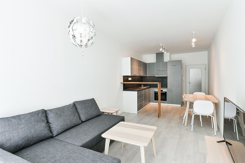 U Mlýnského kanálu, Karlín - Prague 8 | Rent, Apartment One-bedroom (2+kk), 56 m²