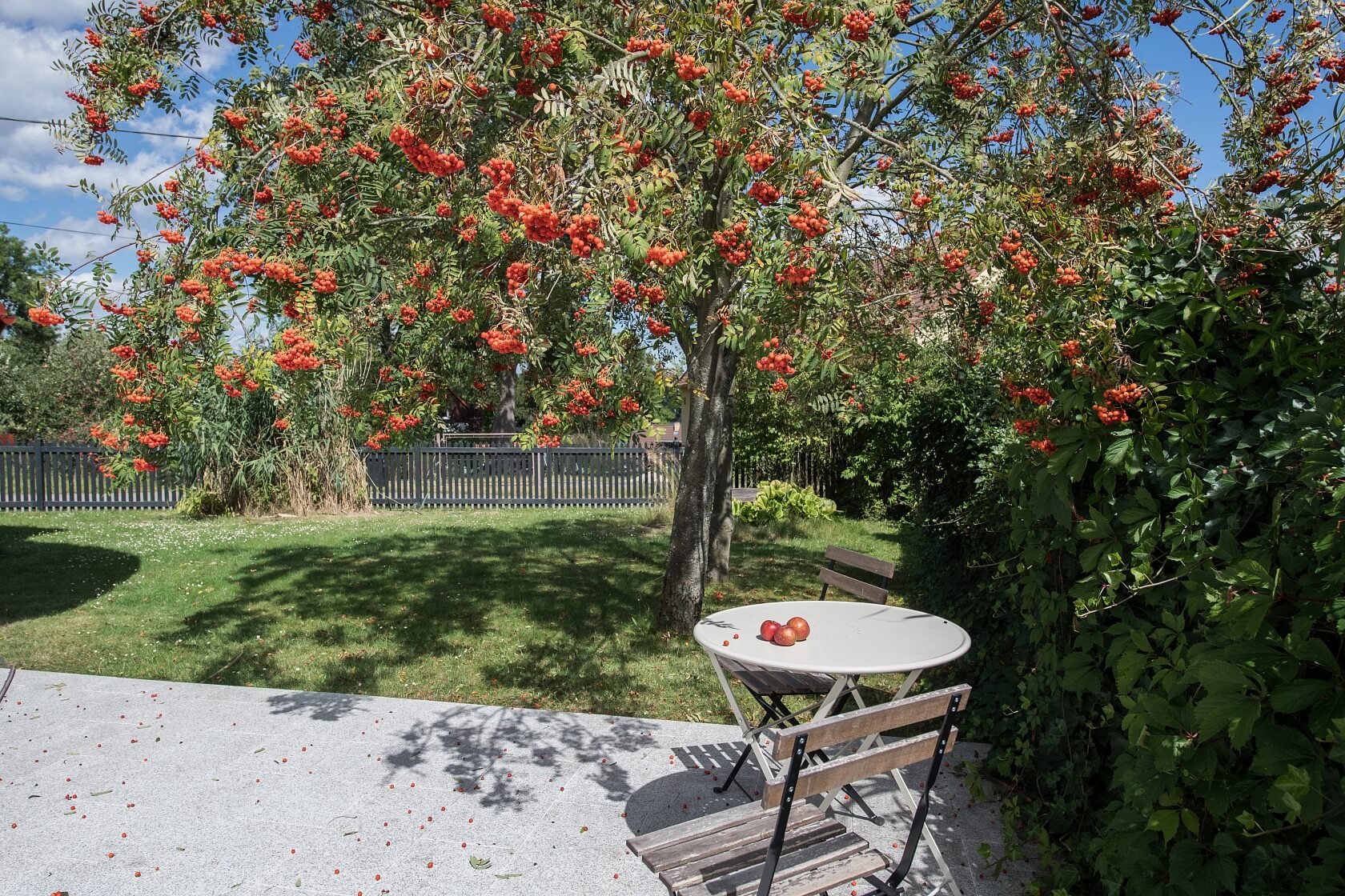 Jarkovice, Benešov | Prodej, Rodinný dům 6+1, 209 m²