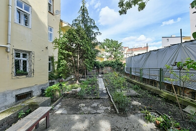 Milíčova, Žižkov - Praha 3 | Pronájem, Byt 1+kk, 20 m²