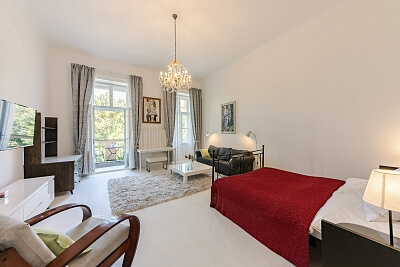 Mezibranská, Nové Město - Praha 1 | Pronájem, Byt 1+1, 48 m²