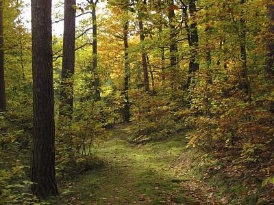 Masečín, Štěchovice - Praha-západ | Prodej, Rodinný dům 3+1, 122 m²