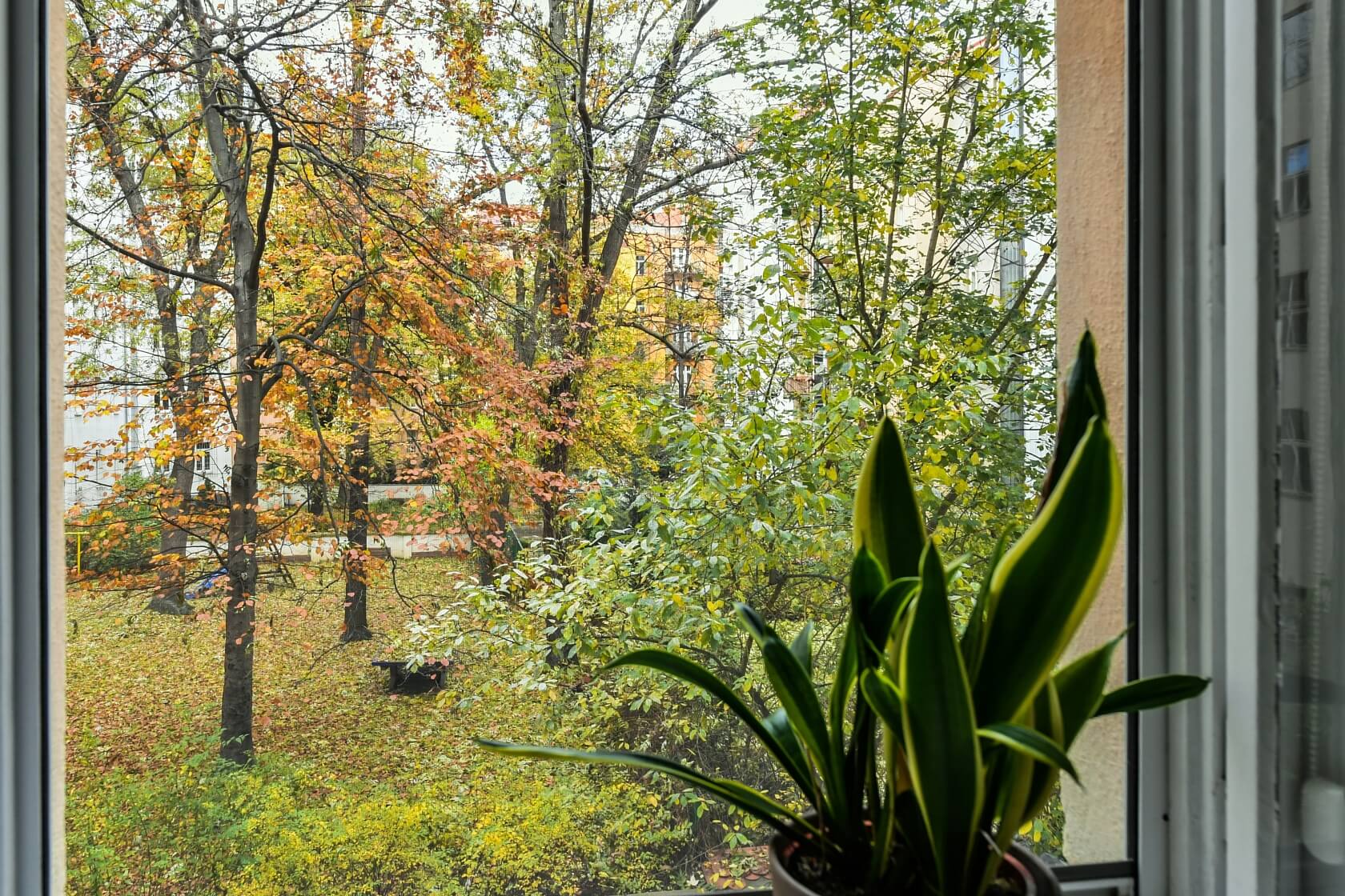 Ondříčkova, Žižkov - Prague 3 | Rent, Apartment One-bedroom (2+kk), 58 m²