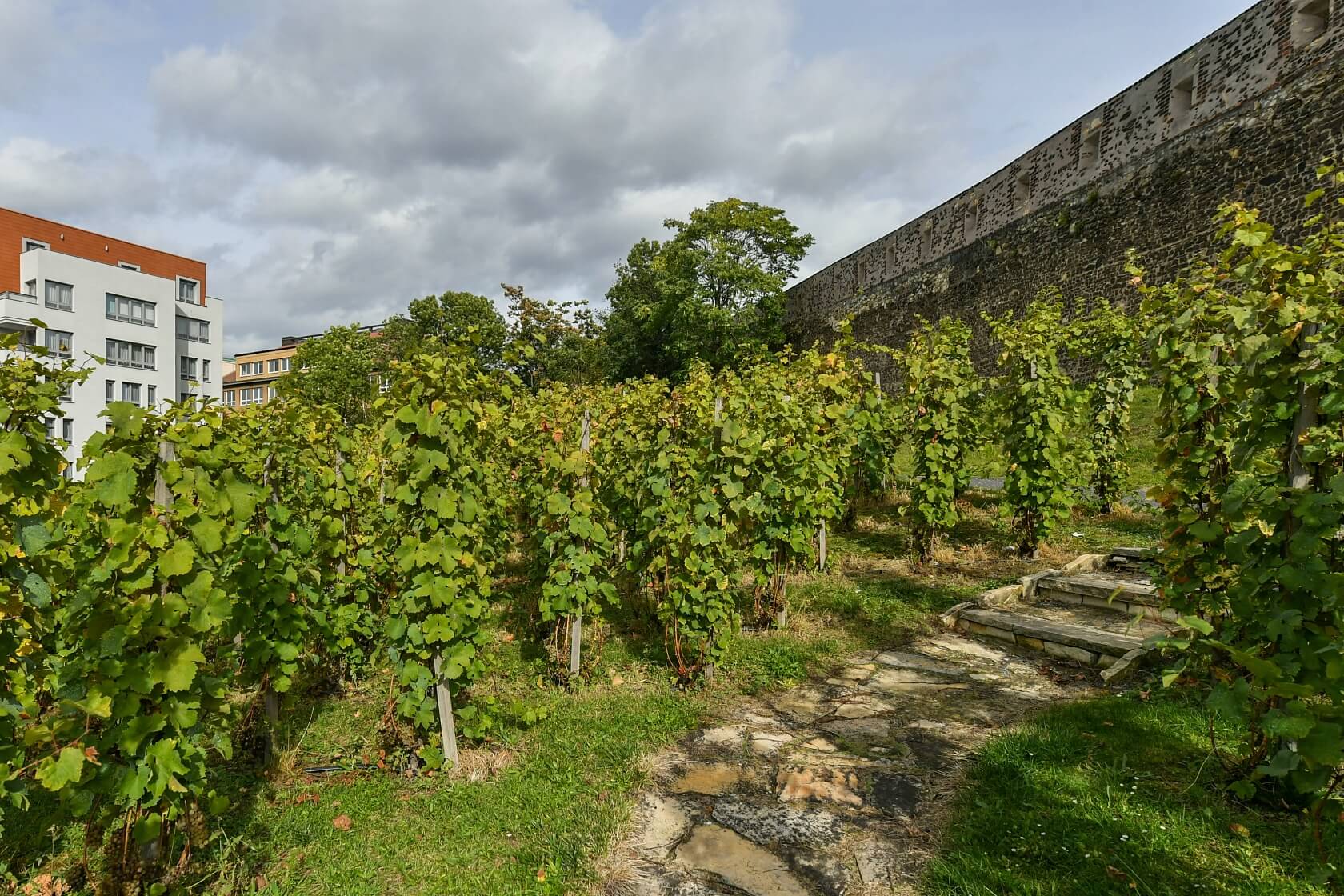 Na Slupi, Nové Město - Prague 2 | Rent, Apartment One-bedroom (2+kk), 49 m²