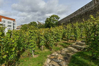 Na Slupi, Nové Město - Prague 2 | Rent, Apartment One-bedroom (2+kk), 49 m²