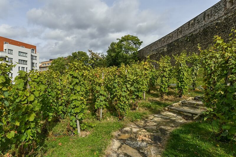 Na Slupi, Nové Město - Prague 2 | Rent, Apartment One-bedroom (2+kk), 49 m²