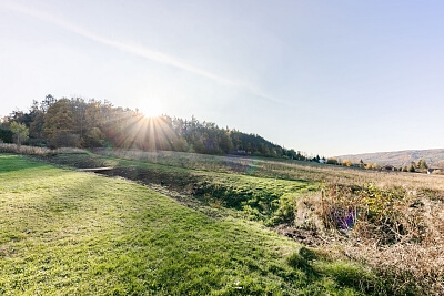 Mezouň, Beroun | Prodej, Pozemek, 3 131 m²