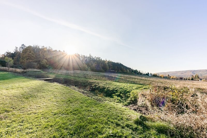 Mezouň, Beroun | Prodej, Pozemek, 3 131 m²