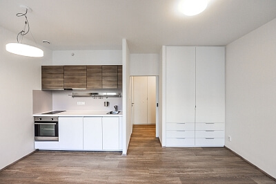 Lucemburská, Vinohrady - Praha 3 | Pronájem, Byt 1+kk, 30 m²