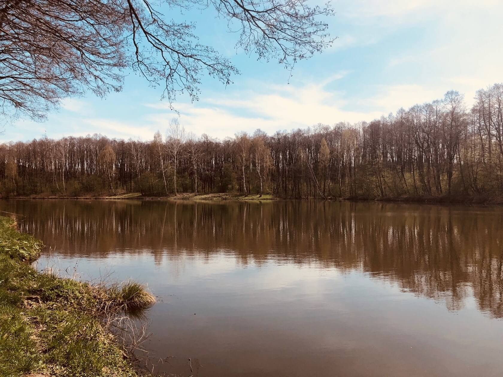 Doksy - Česká Lípa | Prodej, Pozemek, 24 874 m²