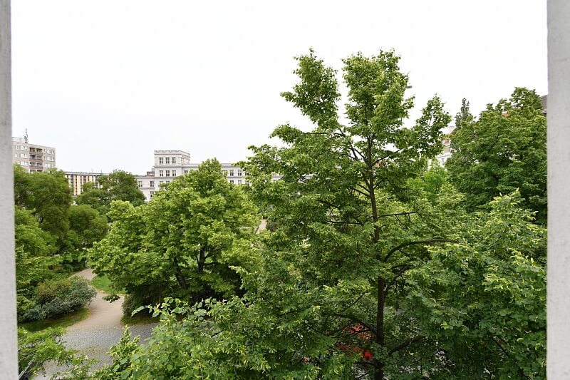 Bořivojova, Vinohrady - Praha 3 | Prodej, Byt 3+kk, 112 m²