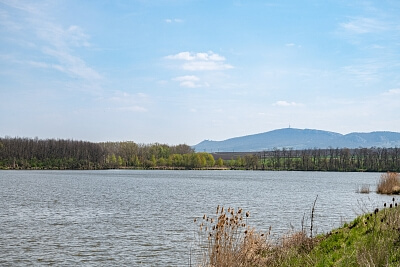 Brod nad Dyjí, Brod nad Dyjí - Břeclav | Sale, House One-bedroom (2+kk), 108 m²