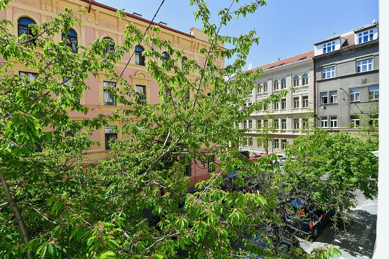 Na Kozačce, Vinohrady - Prague 2 | Rent, Apartment Two-bedroom (3+kk), 88 m²