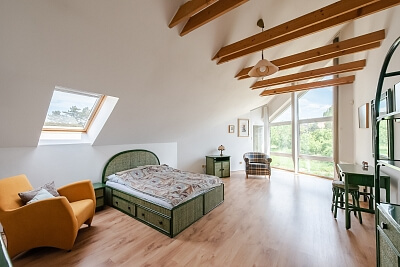 Vrané nad Vltavou - Praha-západ | Prodej, Rodinný dům 4+1, 354 m²