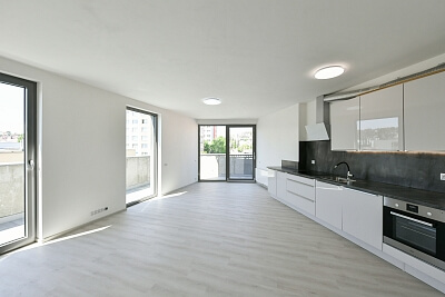 Na Petynce, Břevnov - Prague 6 | Rent, Apartment Two-bedroom (3+kk), 111 m²