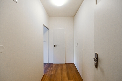 Lucemburská, Vinohrady - Praha 3 | Pronájem, Byt 1+kk, 30 m²