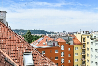 Marie Cibulkové, Nusle - Prague 4 | Rent, Apartment Three-bedroom (4+1), 251 m²