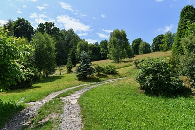 Víchová nad Jizerou, Semily | Sale, Land, 1 115 m²