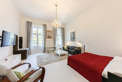 Mezibranská, Nové Město - Prague 1 | Rent, Apartment Studio (1+1), 48 m²