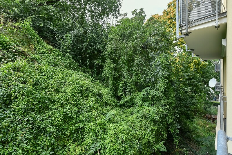 Pod Děkankou, Nusle - Prague 4 | Rent, Apartment One-bedroom (2+kk), 50 m²