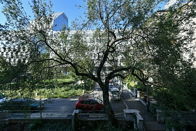 Kouřimská, Vinohrady - Prague 3 | Rent, Apartment Three-bedroom (4+1), 139 m²